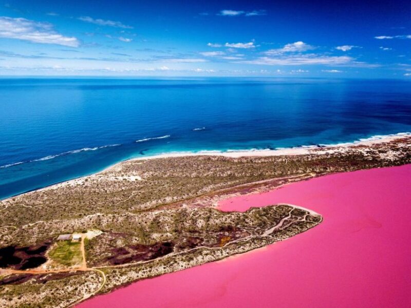 Gregory: Pink Lake Buggy Tour - Key Points