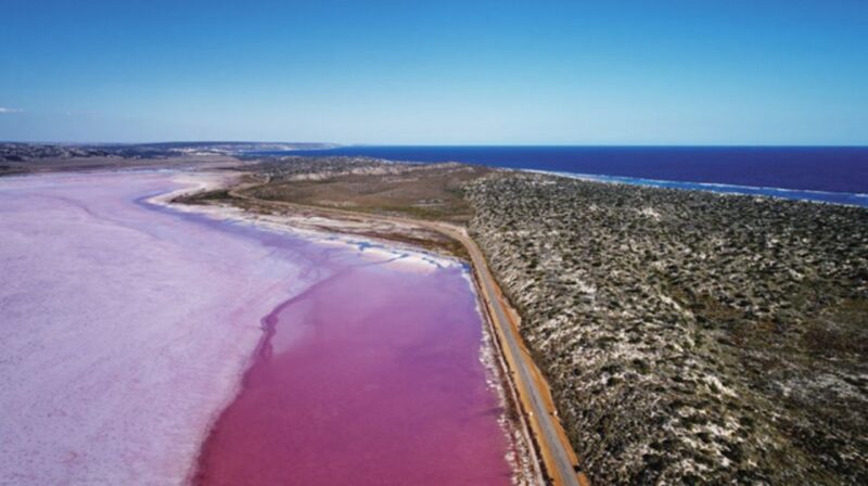 Gregory: Pink Lake Buggy Tour - Booking Information