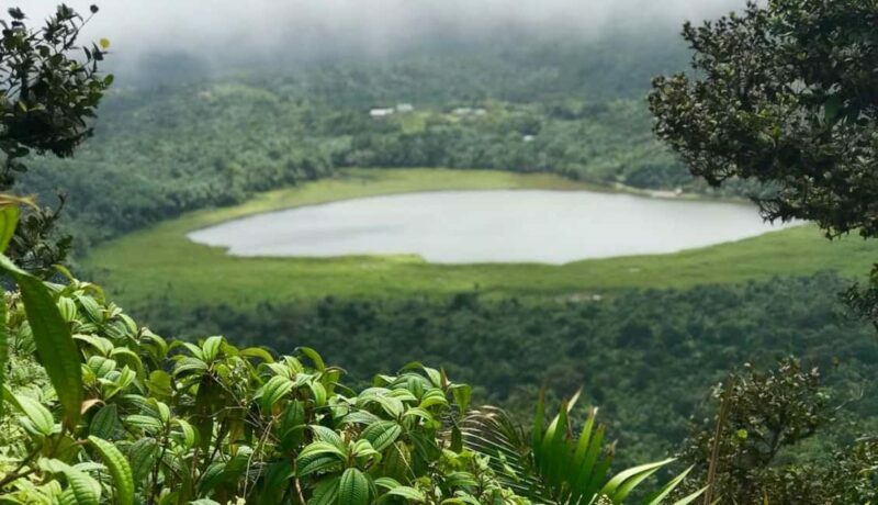 Grenada: Annandale Waterfall, Grand Etang, Grand Anse beach - Key Points