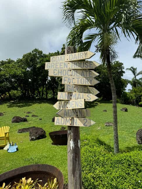 Grenada: Belmont Estate Tree to Bar Chocolate Workshop - Key Points