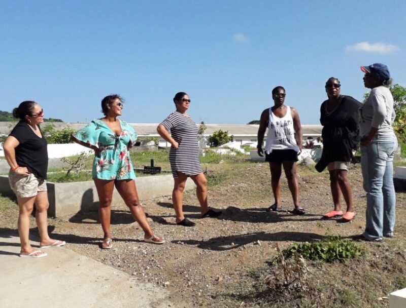 Grenada: Chocolate Tour & Lunch at Petite Anse - Cocoa Production in Grenada