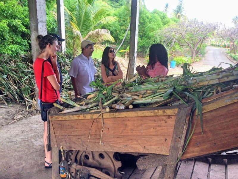 Grenada: Chocolate Tour & Lunch at Petite Anse - Visiting the Chocolate Factory