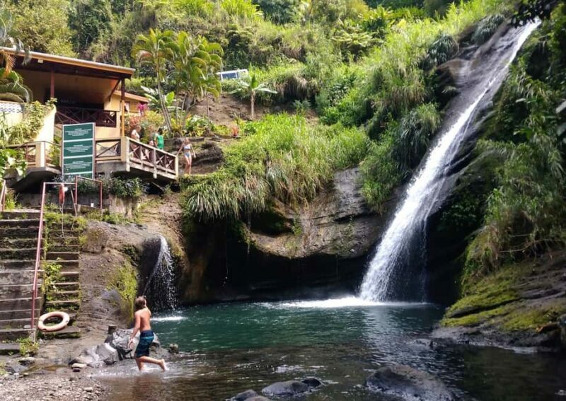 Grenada: Culture and Nature Island Tour with Chocolate & Rum - Rainforest and Waterfalls