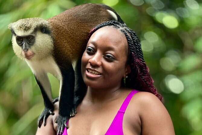 Grenada Day Tour-Concord Falls, Chocolate, Rum & Grand Etang Lake - Key Points