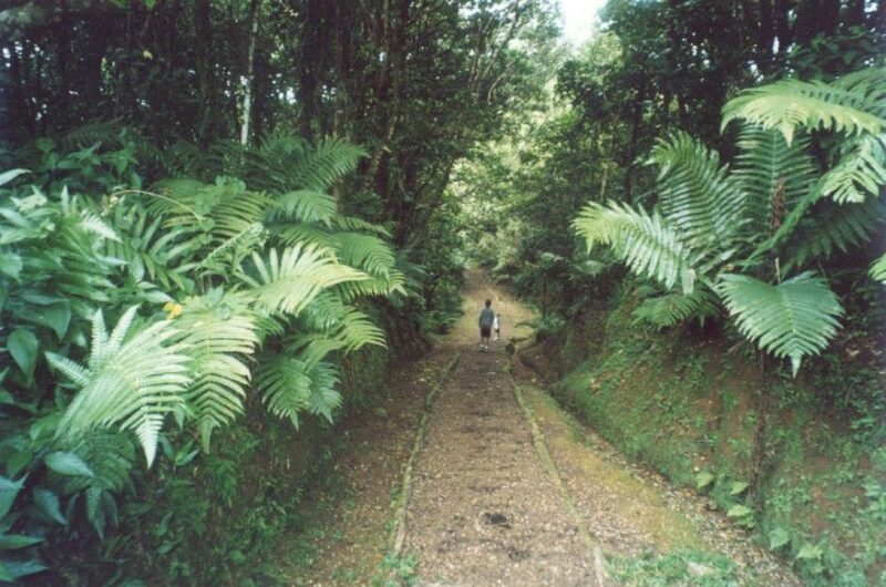 Grenada: Full-Day Tour With Chocolate and Rum Sampling - Key Points