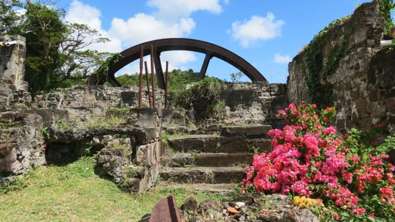 Grenada: Full-Day Tour With Chocolate and Rum Sampling - Customer Experience