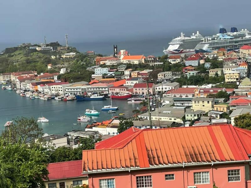 Grenada: Half-Day Island Tour with Waterfall Swim Stop - An In-Depth Look at the Tour Itinerary