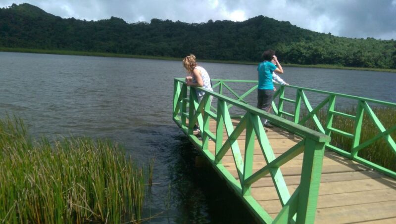 Grenada: Half-Day Island Tour With Waterfall Swim Stop - What to Bring and Important Information