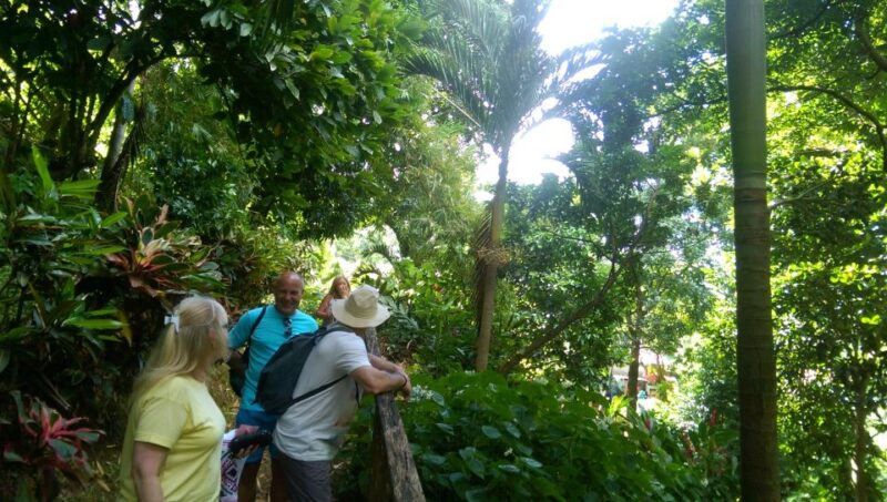 Grenada: Half-Day Island Tour With Waterfall Swim Stop - Customer Reviews and Ratings