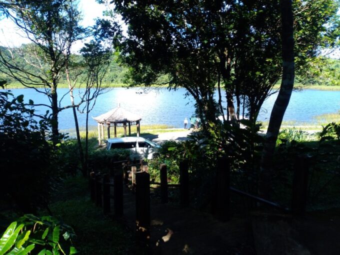 Grenada: Half-Day Island Tour With Waterfall Swim Stop - Grenada Distillers Rum Sampling