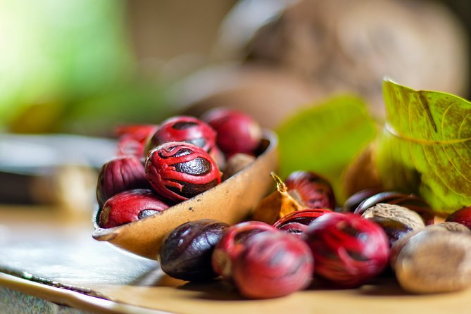 Grenada Half Day Tours: Spice, Falls, Chocolate Factory & Lunch - Pickup and Accessibility