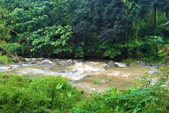 Grenada River Tubing and Annandale Falls Private Tour - Tour Itinerary