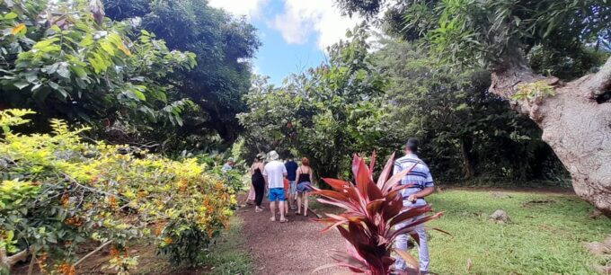 Grenada: Southern Delights Tour With Rum Tasting - Restrictions