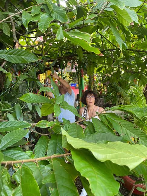 Grenada: Spice and Herb Garden Tour with Beach Visit - An In-Depth Look at the Tour