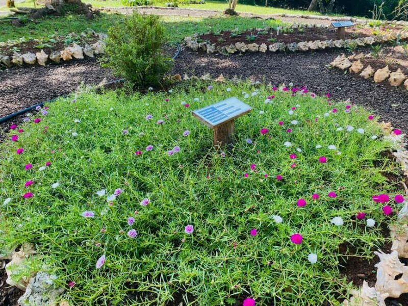 Grenada: Spice and Herb Garden Tour with Beach Visit - FAQs