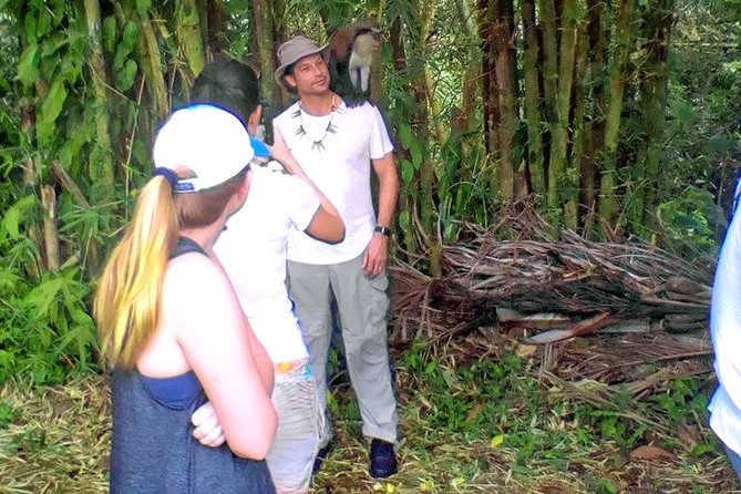 Grenada Spice Gardens, Rum & Chocolate Tour (Full/Half Day) - Recommendations and Tips
