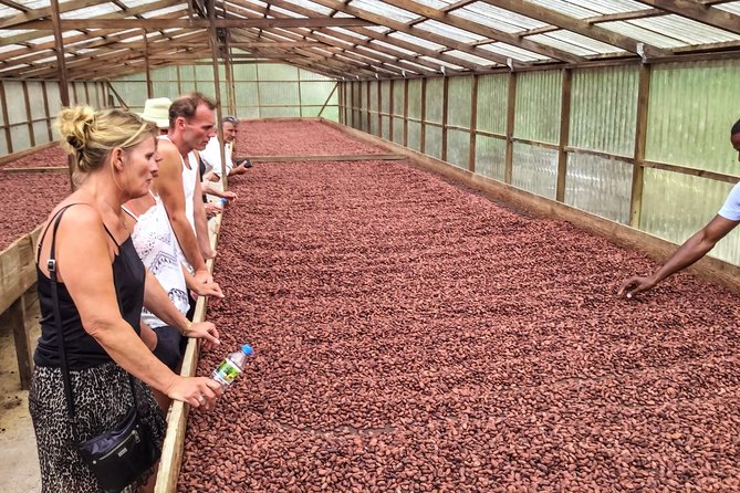 Grenada Spice Gardens, Rum & Chocolate Tour (Full/Half Day) - Spice Garden Exploration