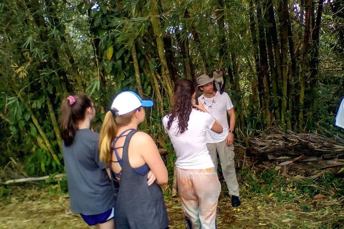 Grenada Spice Gardens, Rum & Chocolate Tour (Full/Half Day) - Chocolate Factory Visit