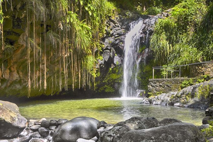 Grenada: Spice Island Expedition. - Spice Garden Exploration