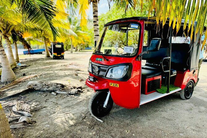 Grenada Tuk Tuk Adventure - Practical Details & Tips