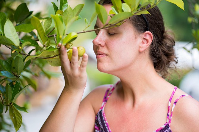 Grenada Western and Northern Day Tours - Pricing and Cancellation Policy