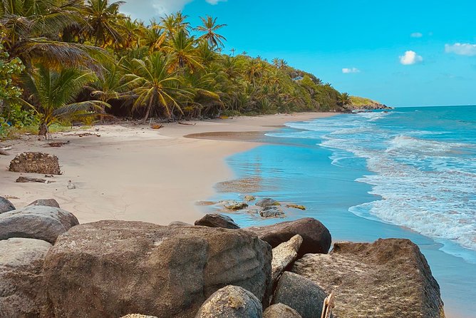 Grenada Western and Northern Day Tours - Concord Falls and Monkey Sightings