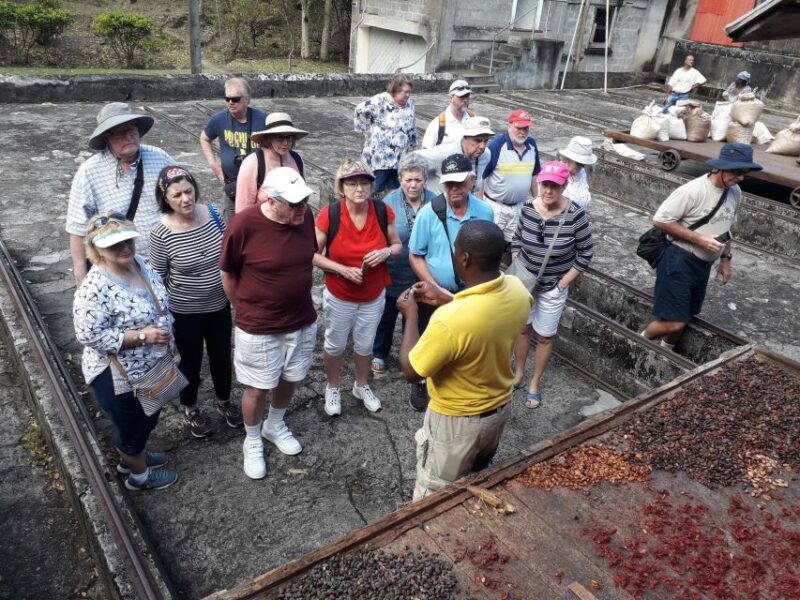 Grenadas Essence: A Personalized Private Spice Tour - Customer Feedback