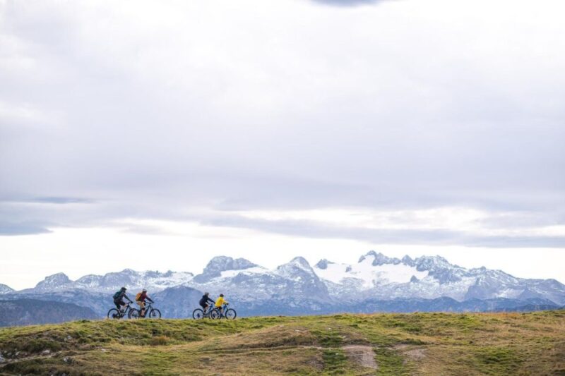 GRENOBLE: Electric Mountain Bike Rental - Delivery and Collection