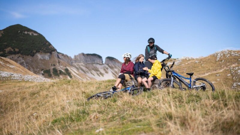 GRENOBLE: Electric Mountain Bike Rental - Availability and Cancellation