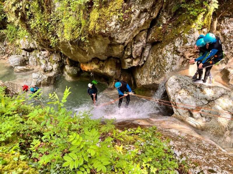 Grenoble, Vercors: Explore the Versoud Canyoning With Fun - What to Expect on Your Canyoning Journey