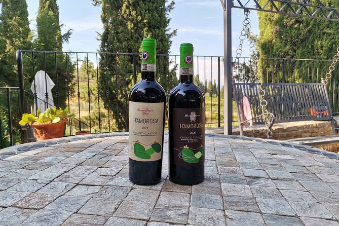 Greve in Chianti Wine Tasting and Winery Tour - Discovering Chianti Classico Wines