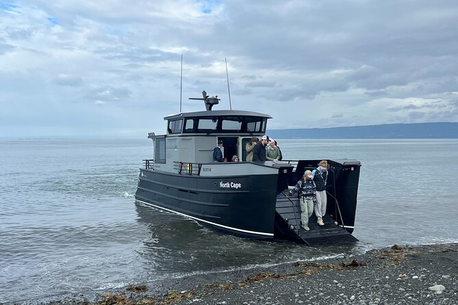 Grewingk Glacier Hike in Kachemak Bay - Activity Details and Pricing