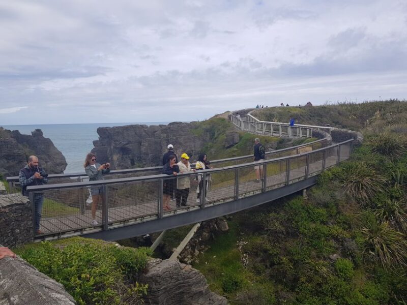Greymouth: Full-Day Best Of The West Tour - Tree Top Walkway Experience