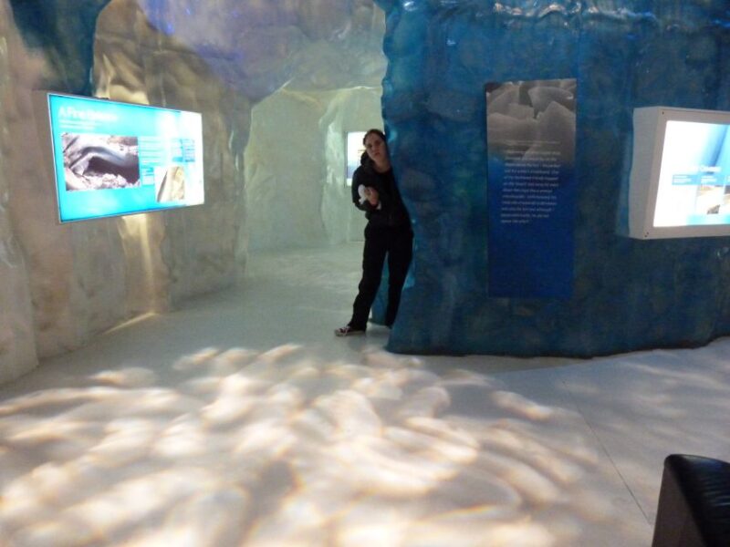 Greymouth: Glacier, Heritage & Wildlife Centre Guided Tour - What to Bring