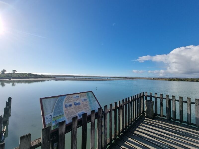 Greymouth: Glacier, Heritage & Wildlife Centre Guided Tour - Scenic Drive to Franz Josef Glacier
