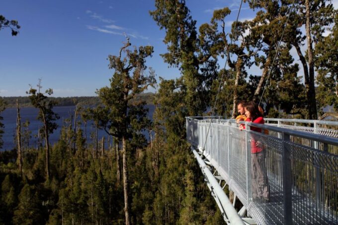Greymouth: Hokitika Gorge and Tree Top Walkway Half-Day Tour - Important Information