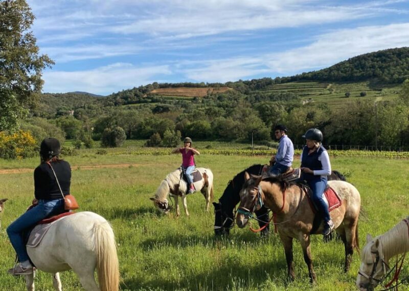 Grimaud: Horseback Riding & Wine Tasting in Maures Forest - What to Bring and Important Information