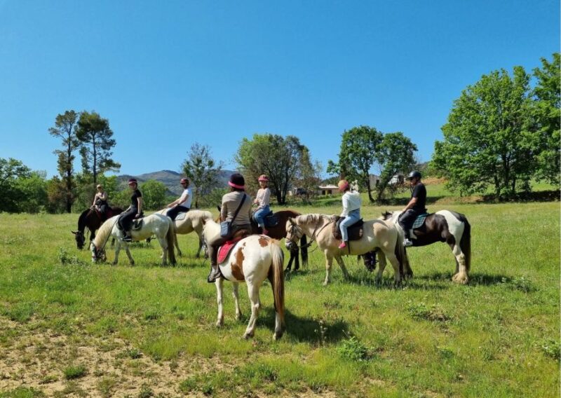 Grimaud: Horseback Riding & Wine Tasting in Maures Forest - The Maures Forest Landscape