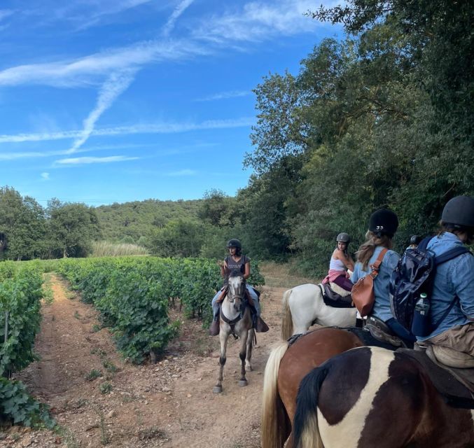Grimaud: Horseback Riding & Wine Tasting in Maures Forest - The Horseback Riding Experience