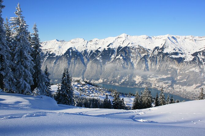 Grindelwald and Interlaken Independent Day Trip From Lucerne - Attractions and Activities