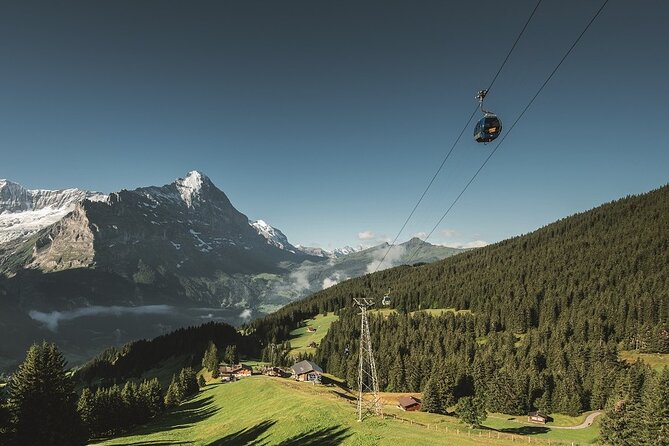 Grindelwald First - Top of Adventure From Lucerne - Tour Details