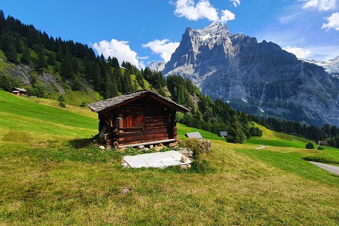 Grindelwald First (Top of Adventure) Ticket Incl. Cliff Walk - First Cliff Walk Adventure