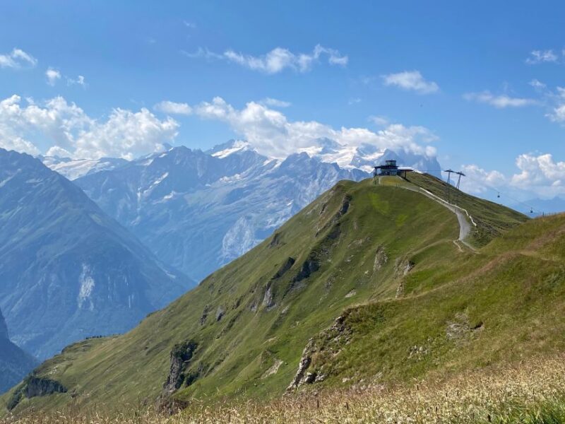 Grindelwald: Guided 7 Hour Hike - Panoramic Views