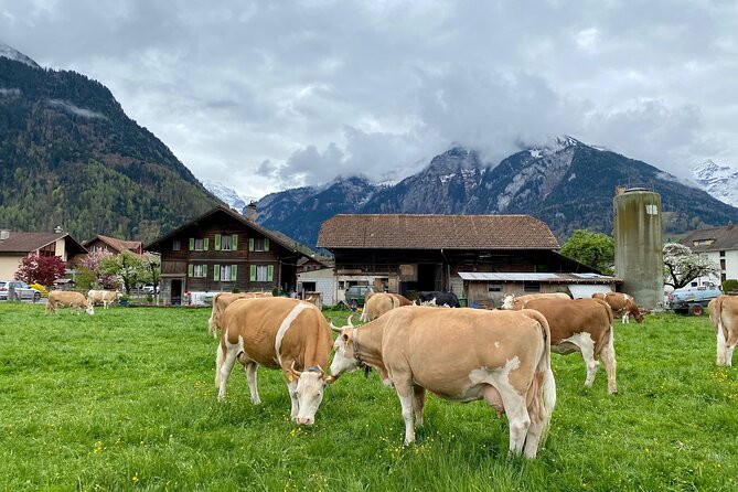 Grindelwald, Lauterbrunnen & Mürren Private Day Trip From Zurich - Raclette Dining Experience