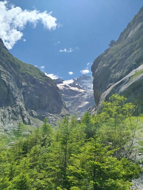 Grindelwalds Captivating Hike to Glacier Canyon - Scenic Stops and Refreshments