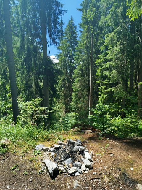 Grindelwalds Captivating Hike to Glacier Canyon - Pricing and Booking