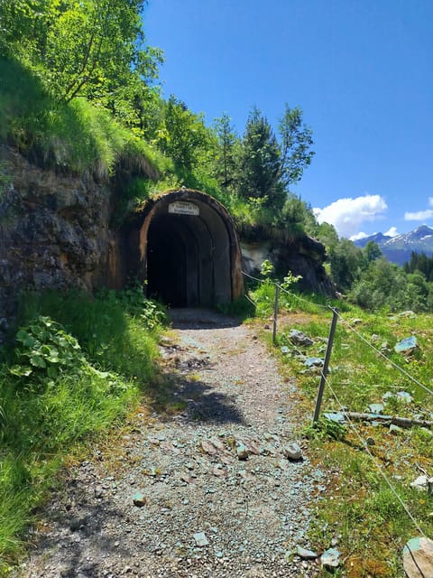 Grindelwalds Captivating Hike to Glacier Canyon - Frequently Asked Questions