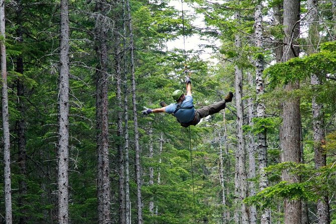 Grizzly Falls Ziplining Expedition - Unimog Transportation