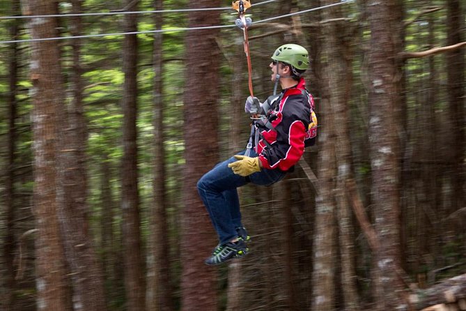 Grizzly Falls Ziplining Expedition - Meeting and Pickup Location