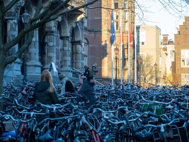 Groningen: Walking Tour With Local Guide - Key Points